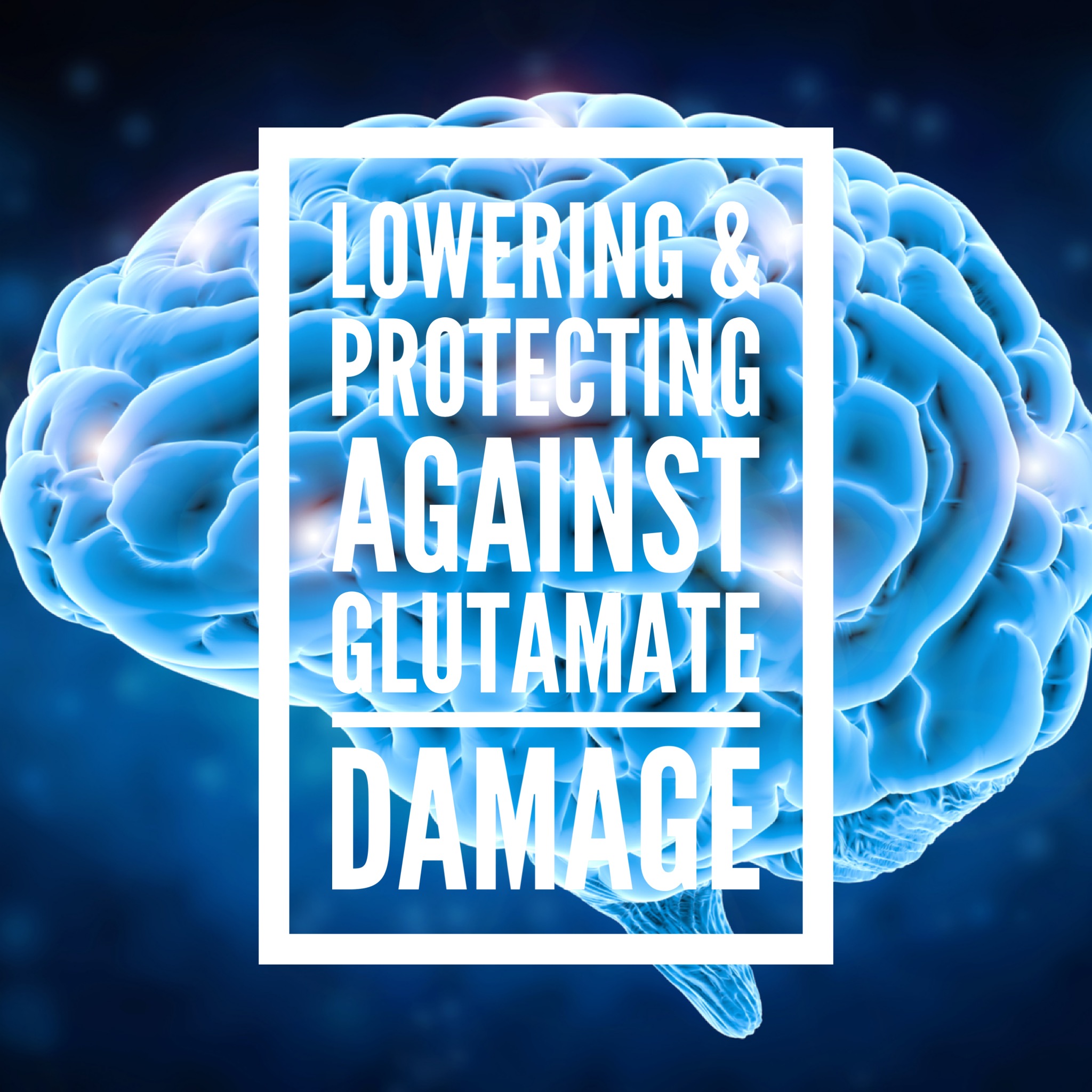 Adhd Drugs Increase Brain Glutamate >> Lowering Glutamate Protecting Against Glutamate Damage Adhd Drugs Increase Brain Glutamate >> Lowering Glutamate Protecting Against Glutamate Damage