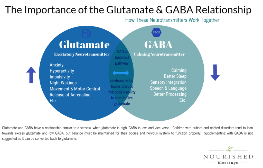 What is Glutamate – Nourished Blessings