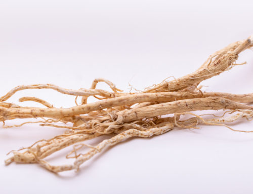 Lowering Glutamate | Astragalus Root